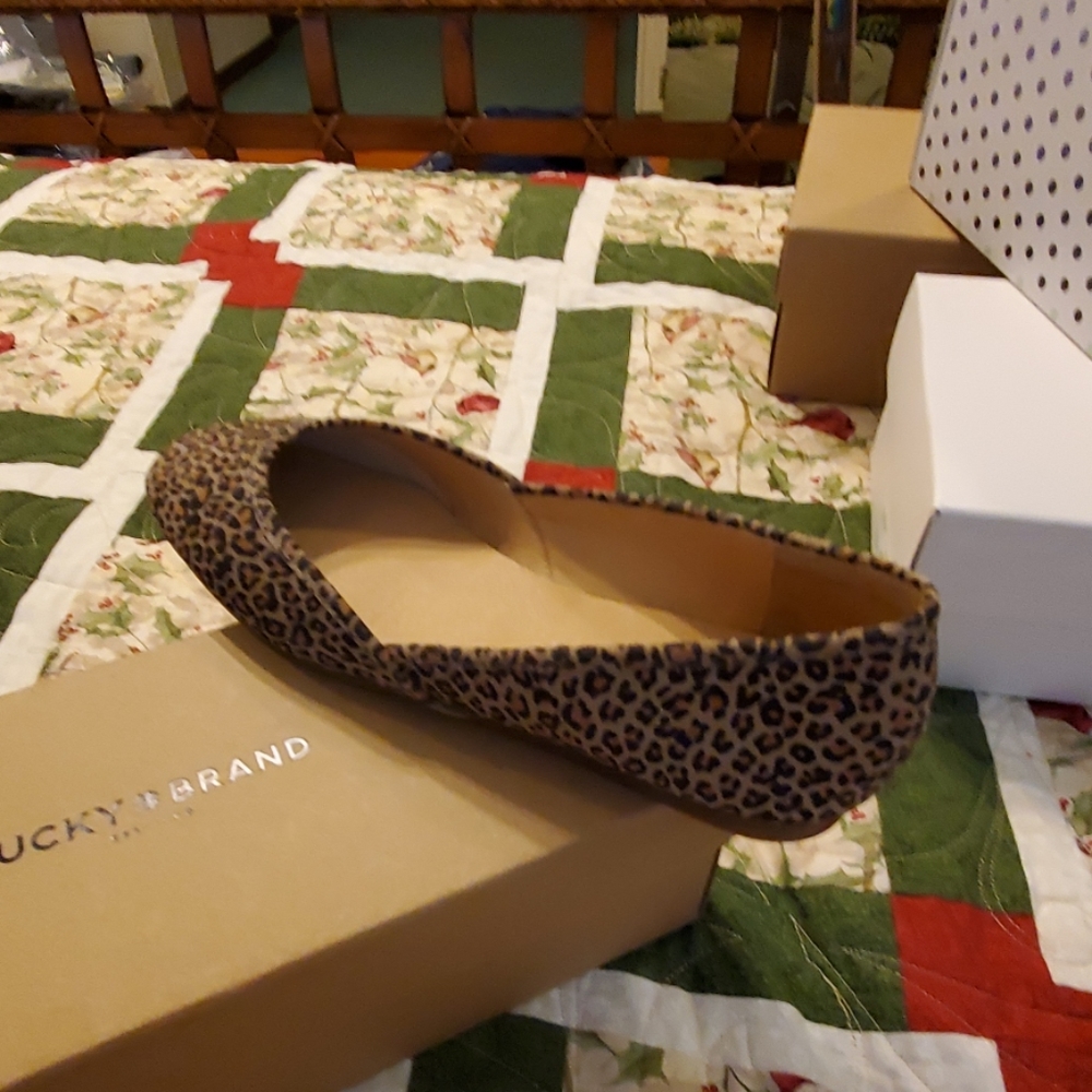 SHOES - Picture 3 of 6